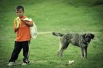 Fotografii cu copiii din Valea Plopului - Valea Screzii - 5